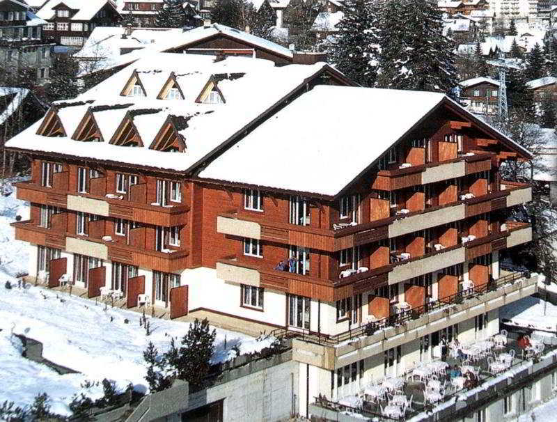 Hotel Steinmattli Adelboden Exterior foto